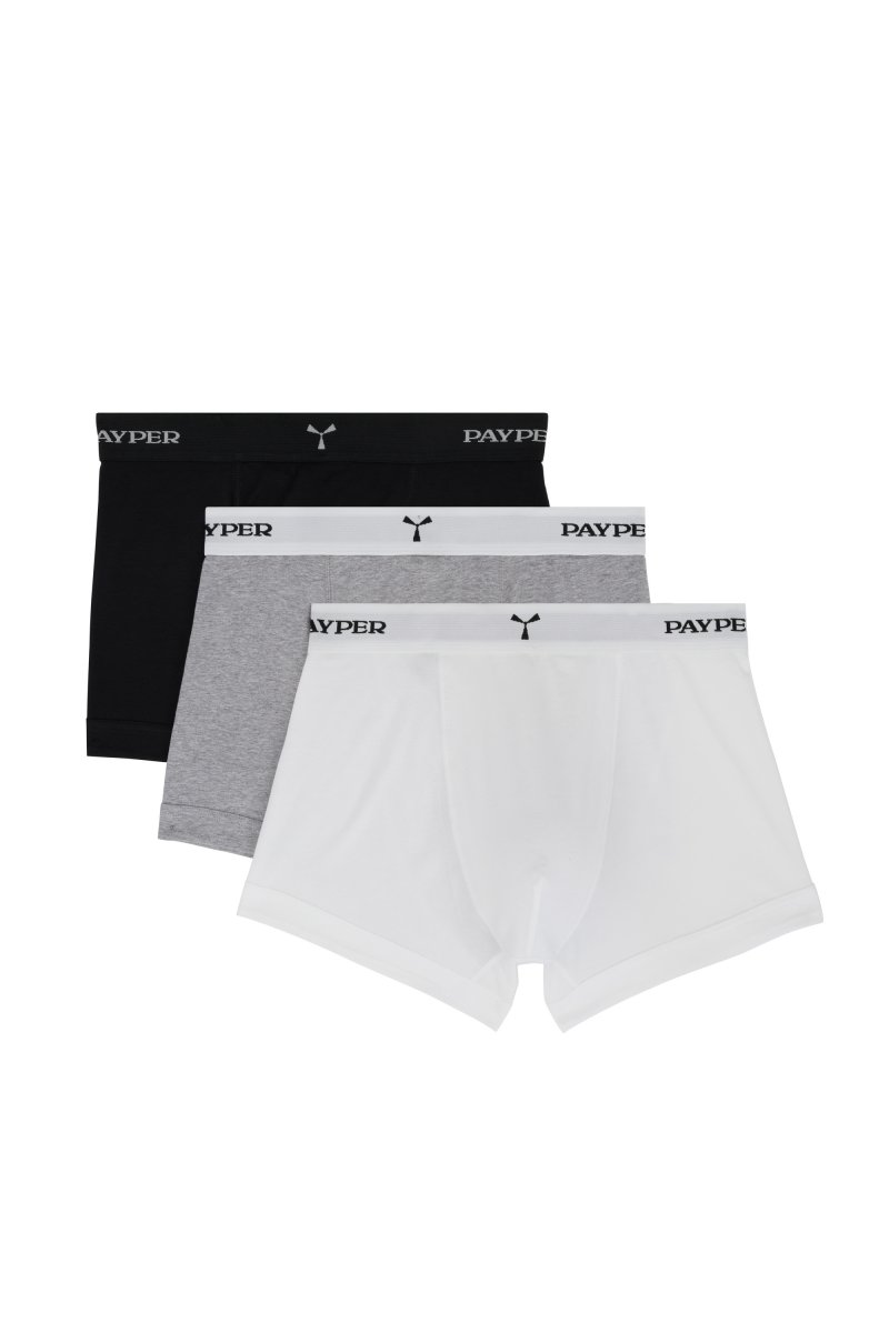 Boxer