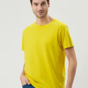 evolution t shirt