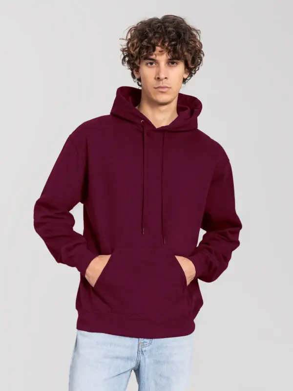 iconic 250 hooded sweat
