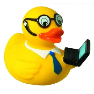 squeaky duck, laptop
