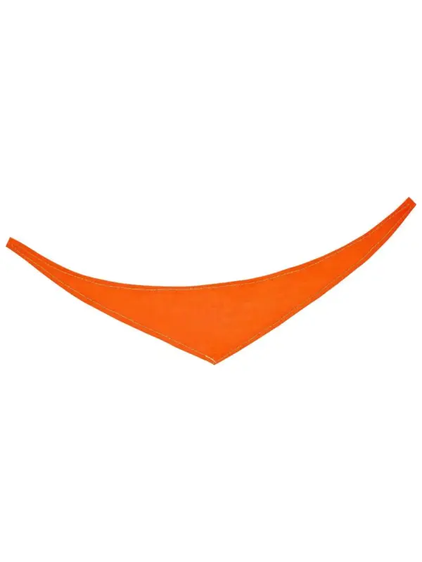bandana/ triangle scarf