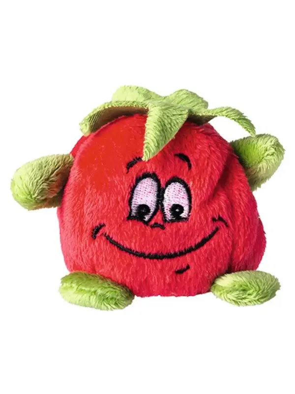 schmoozies® tomato