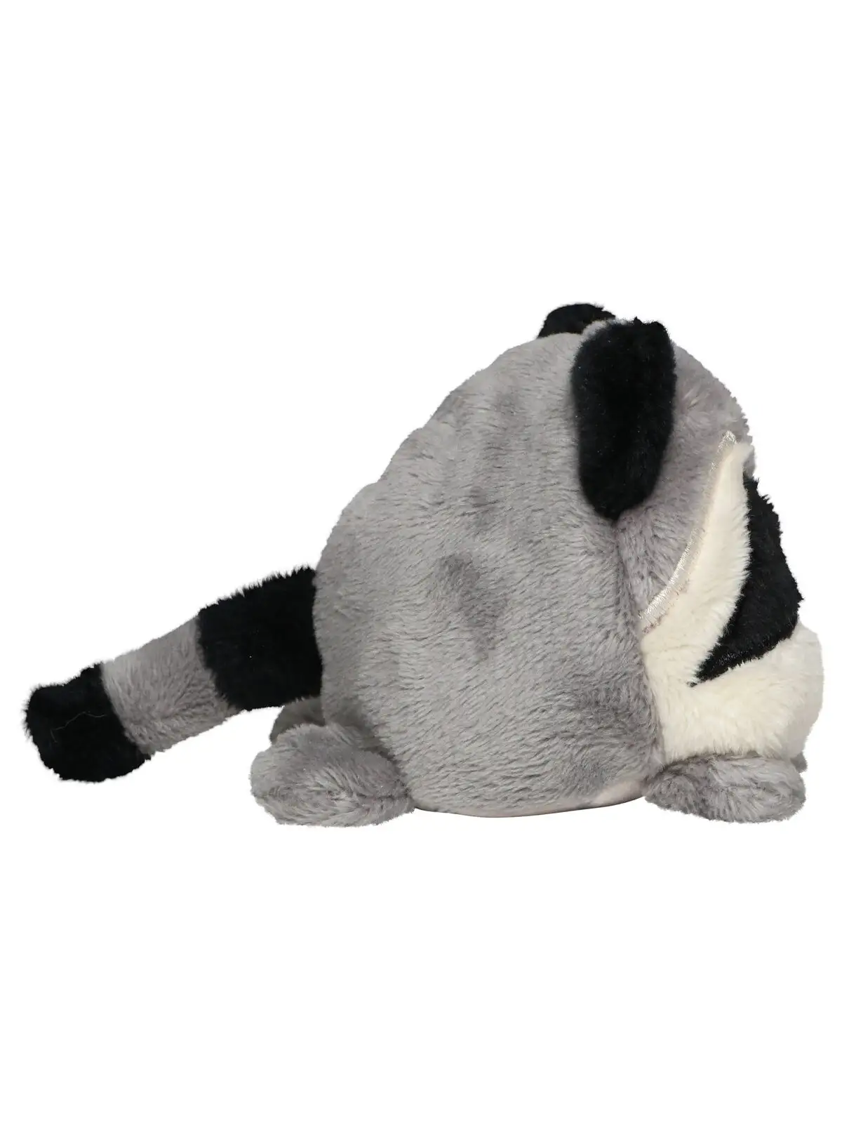 schmoozies® raccoon schmoozies® raccoon