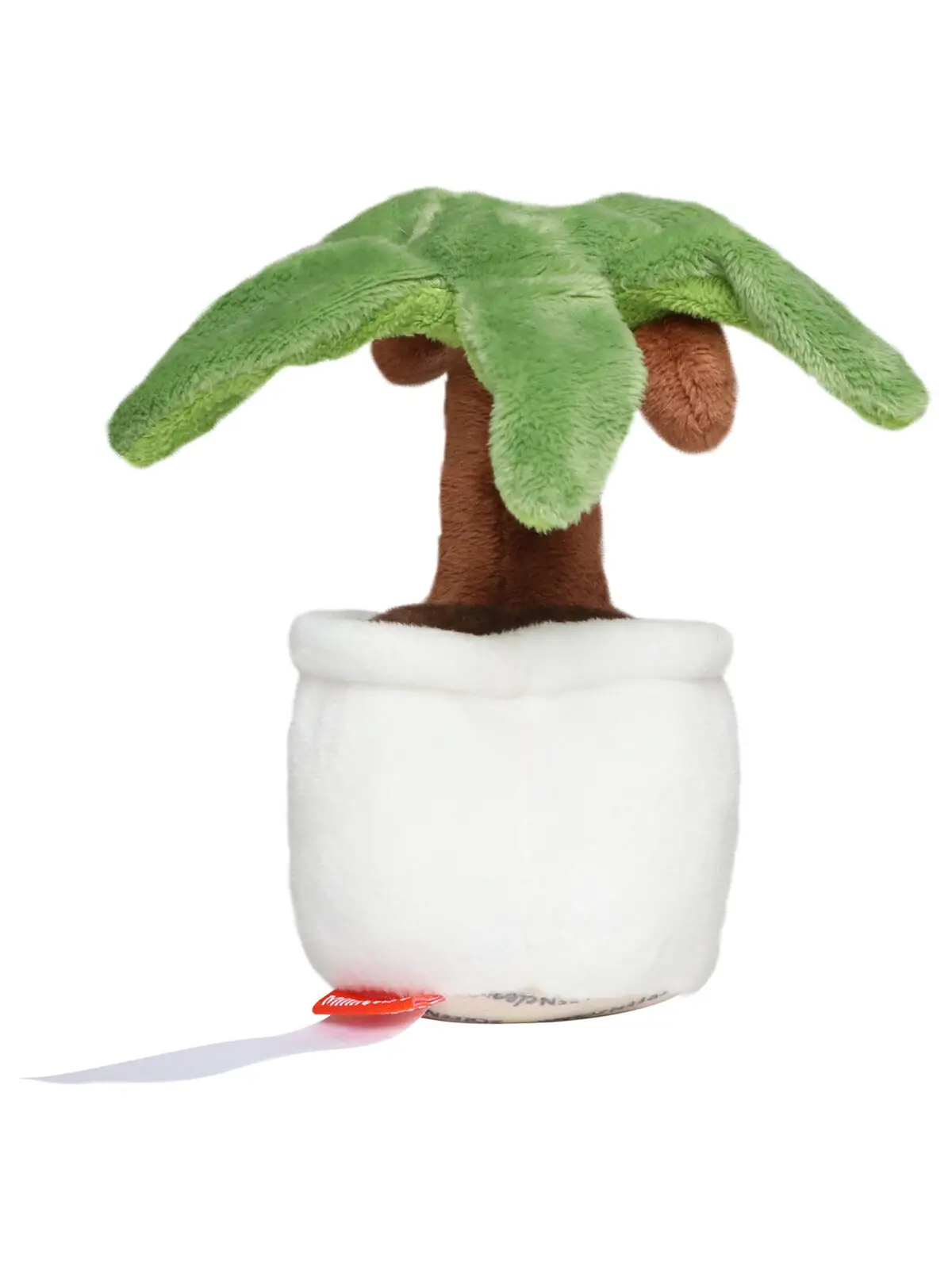 schmoozies® evergreenies® palm tree schmoozies® evergreenies® palm tree