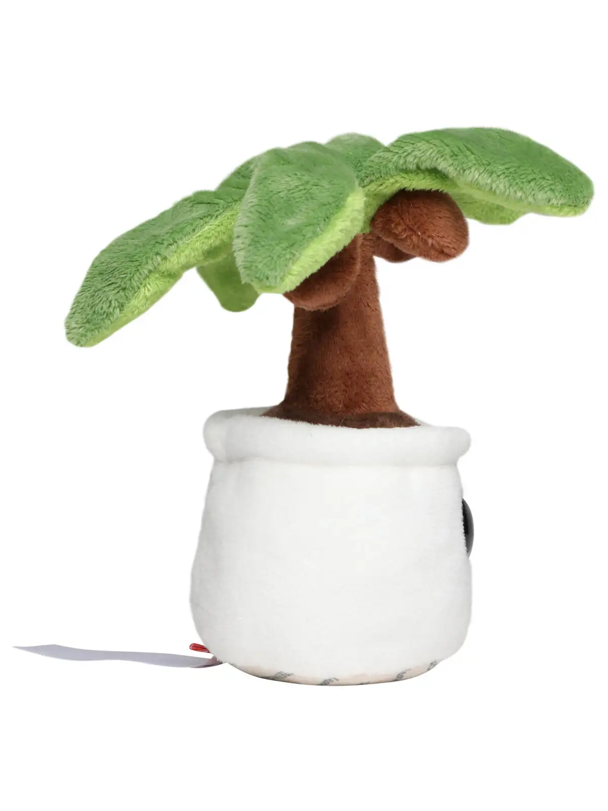 schmoozies® evergreenies® palm tree schmoozies® evergreenies® palm tree