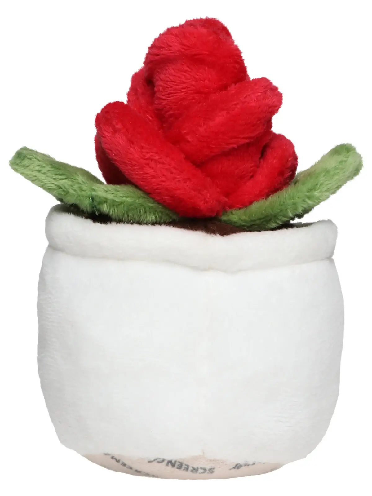 schmoozies® evergreenies® rose schmoozies® evergreenies® rose