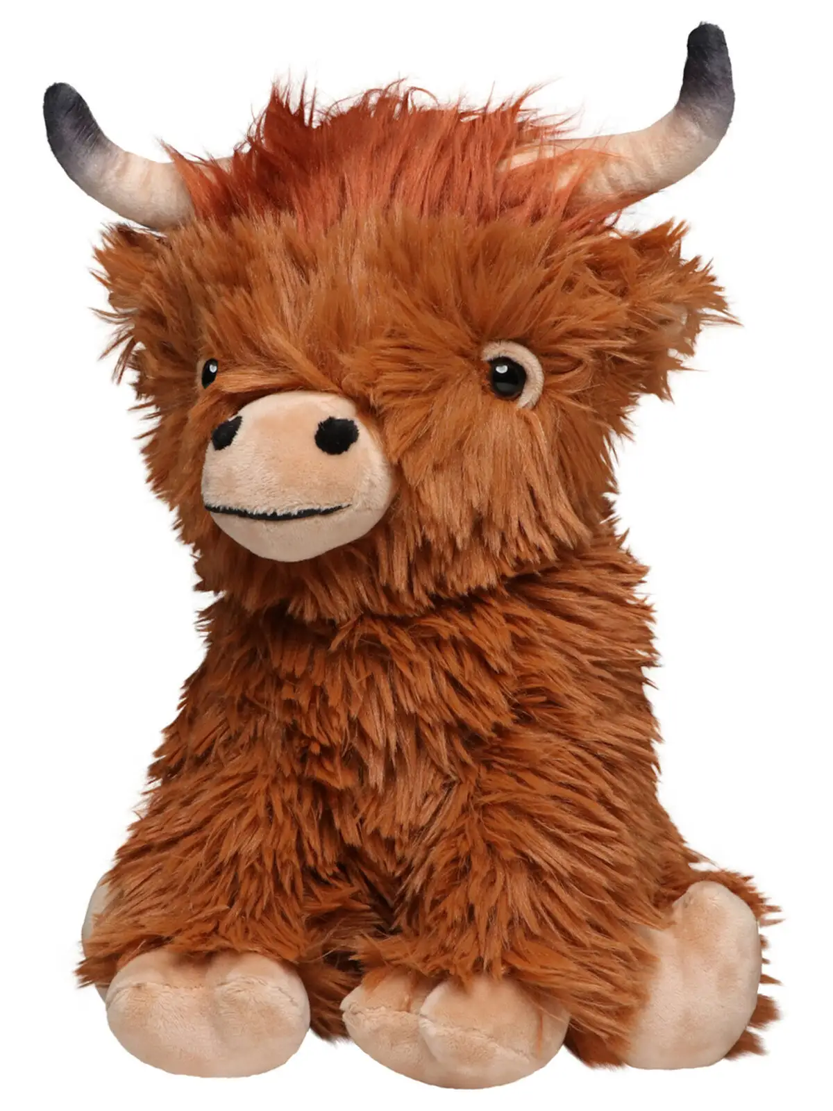 scottish highland cattle bobby scottish highland cattle bobby