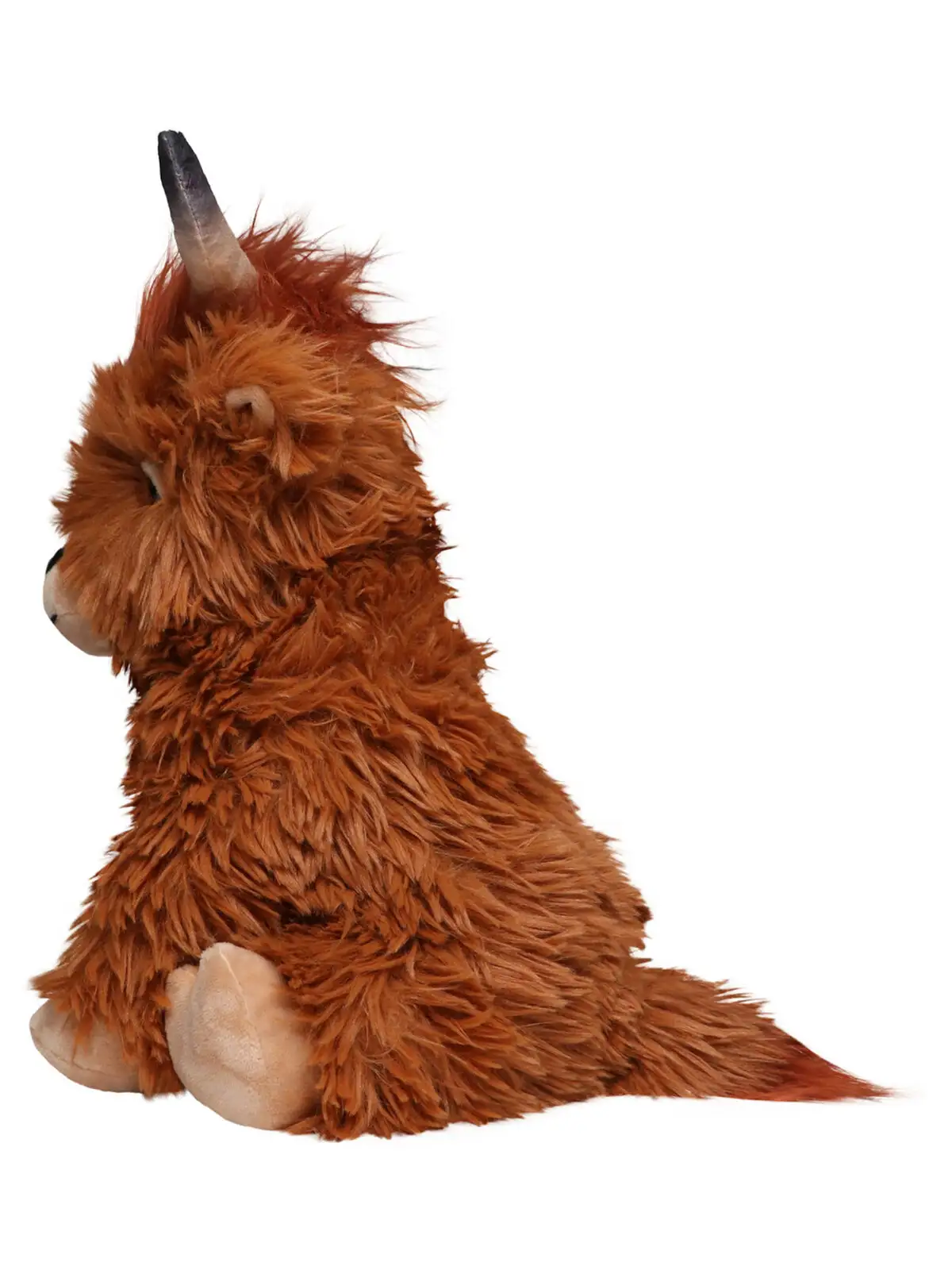 scottish highland cattle bobby scottish highland cattle bobby