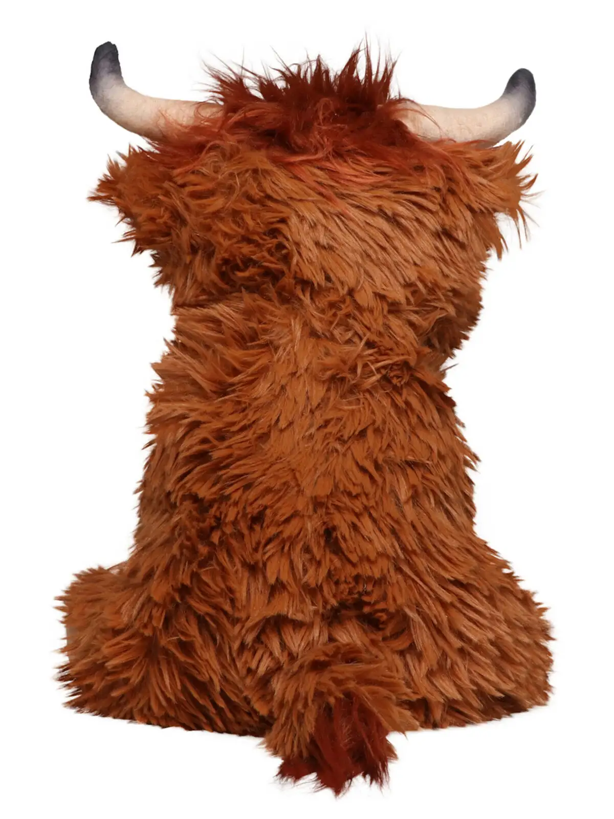 scottish highland cattle bobby scottish highland cattle bobby