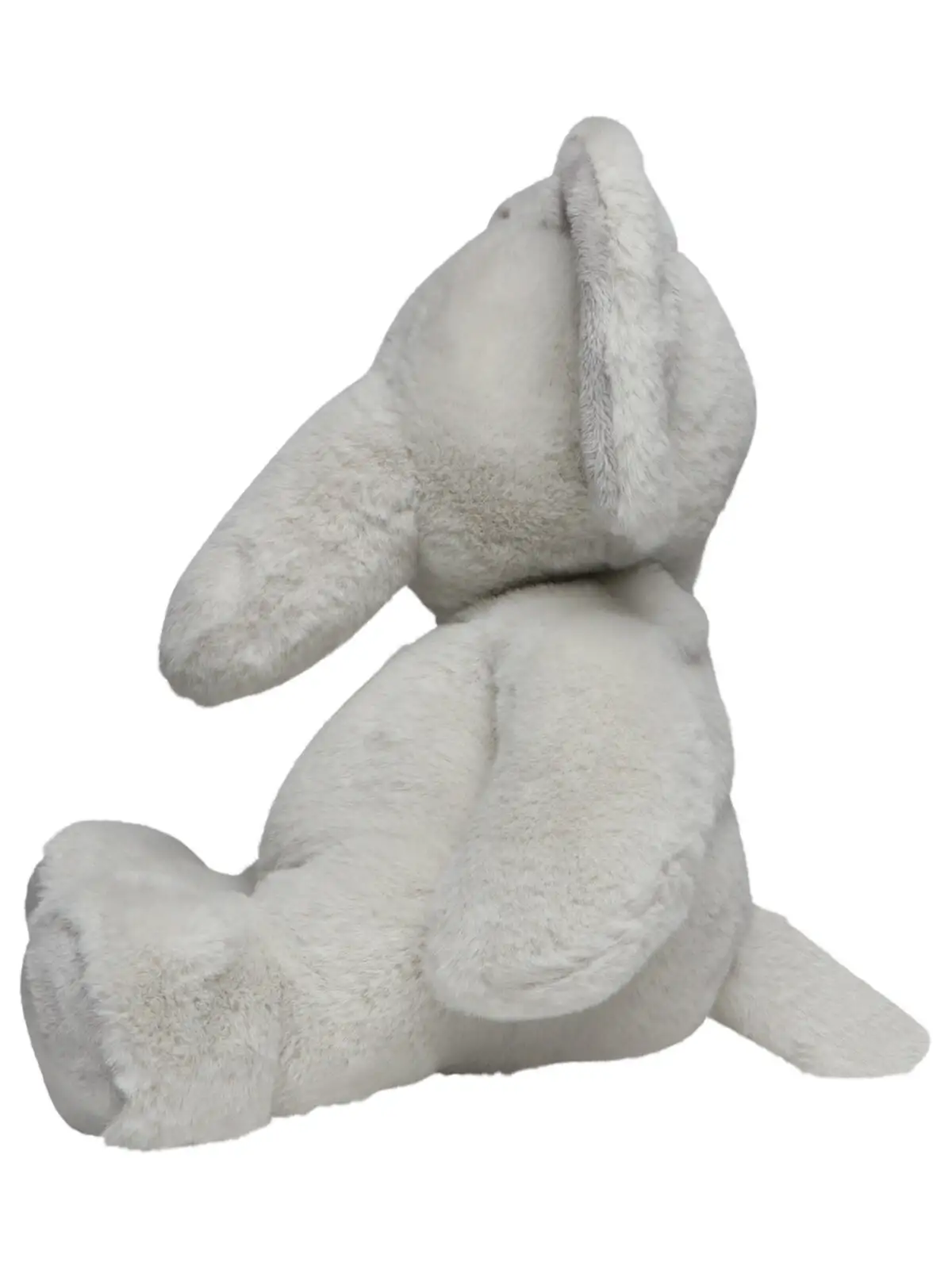 elephant lone elephant lone