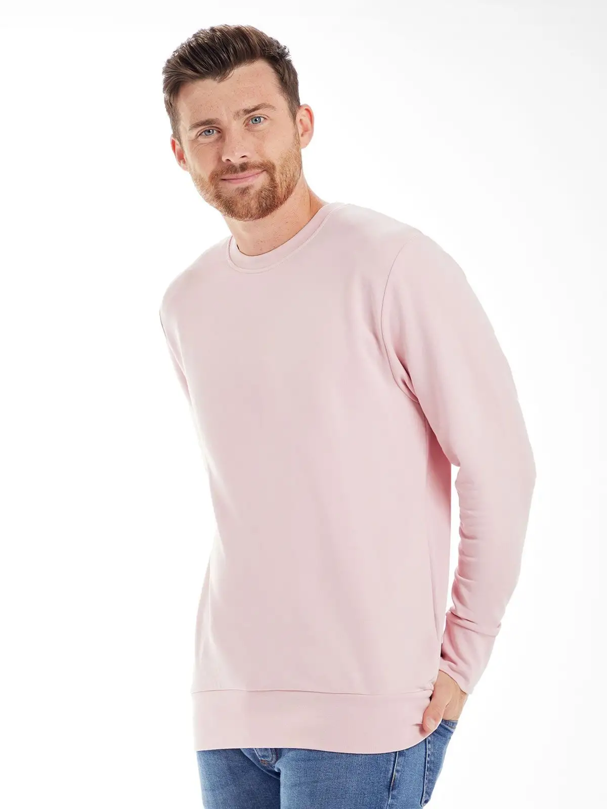 the sweatshirt the sweatshirt