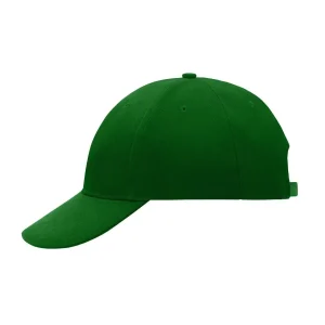 6 panel cap low profile