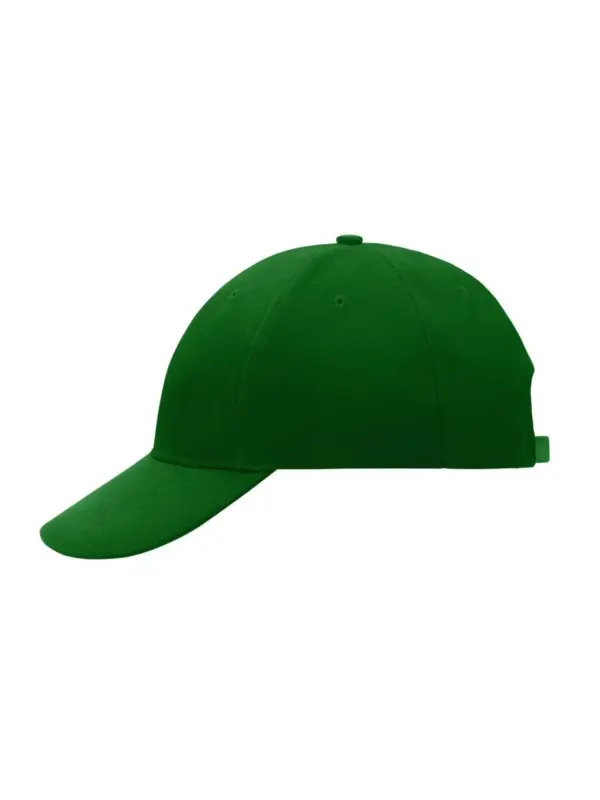 6 panel cap low profile