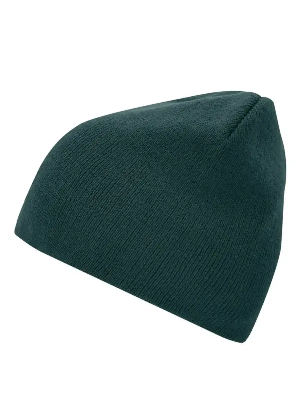 beanie no.1