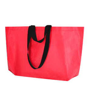 Borsa Torvik