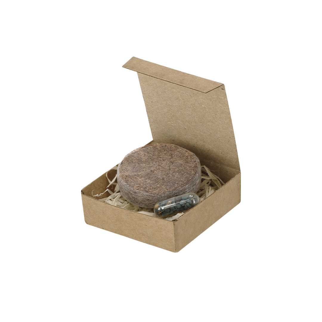 pack piantabile aquael Pack Piantabile Aquael