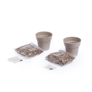 Set Vaso Nertel