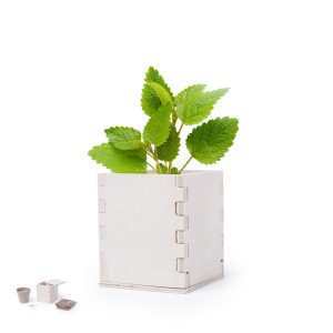 vaso merin
